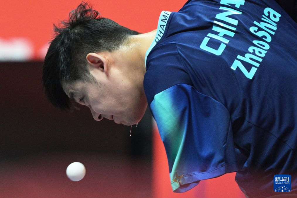 sbobet利记案例展示