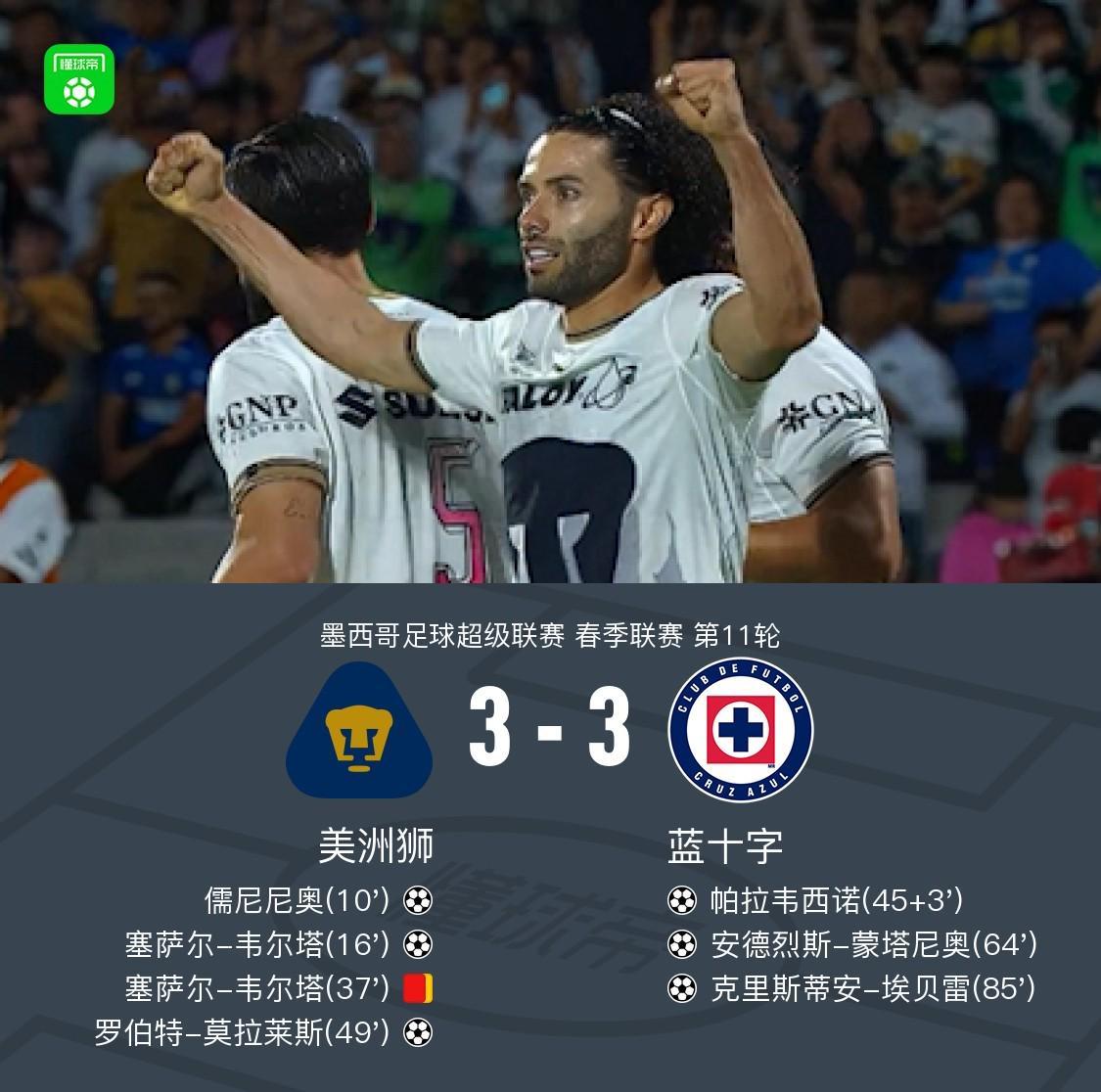 专业sbobet利记服务